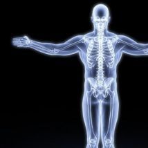 怎样促进骨骼健康？四剂良方或帮助您强健骨骼，请查收。