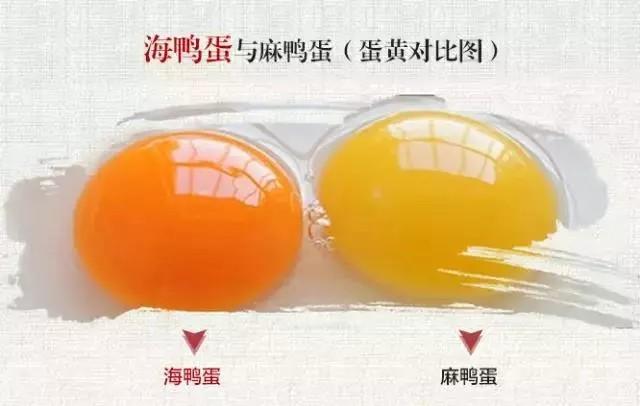 适合老年人，五种美味营养的食物，条件允许的话，隔三差五买来吃。 