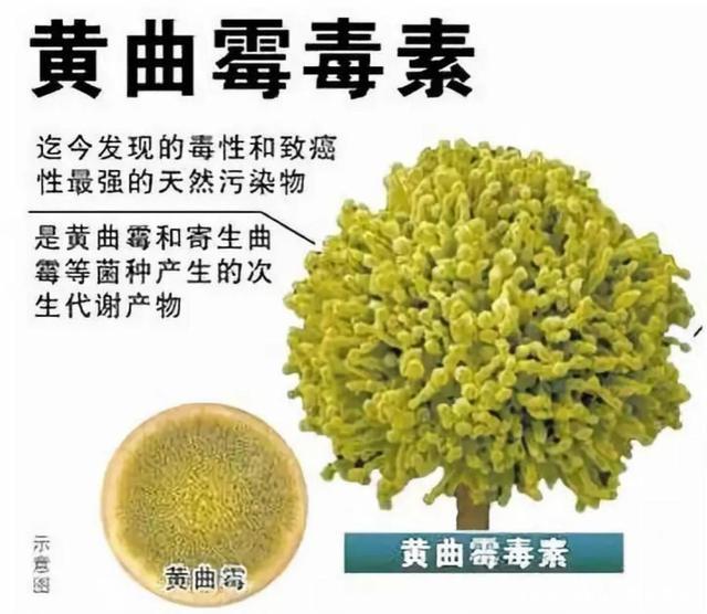 致癌物质是如何致癌的？来源有哪些？医生提醒你远离四种常见致癌物。 