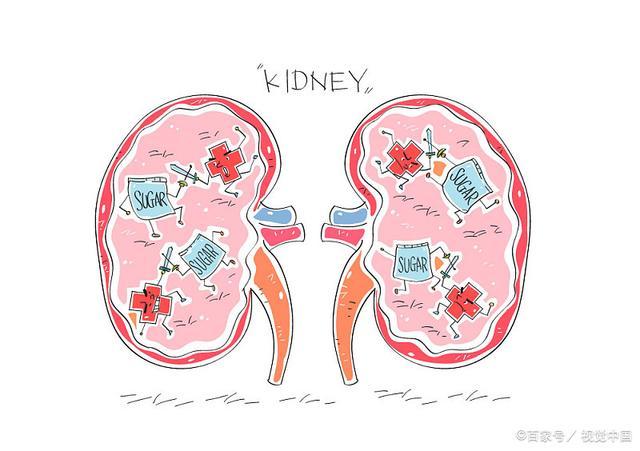所有肾病都会变成尿毒症吗？如何预防尿毒症？一篇文章告诉你。 