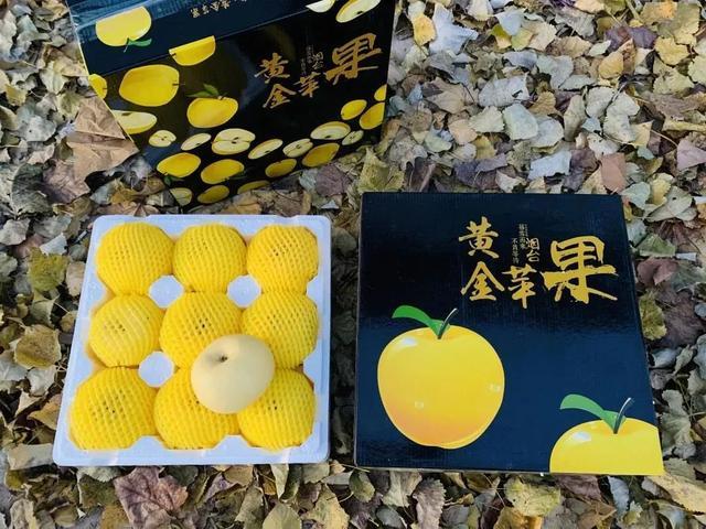 春天这些水果就在那个时候，养阳，健脾，润燥，不要错过！ 