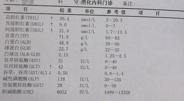 体内出现小红点，或暗示肝脏生病，及时检查。 