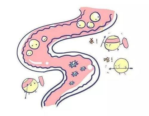 春季要养生，这些水果必须多吃，营养价值高还可以补水。 