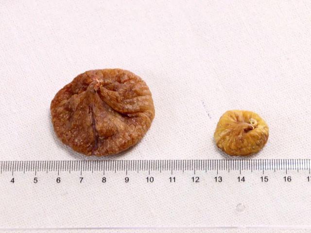 什么是女孩在例假期间流出的血凝块？建议女性饮食护理子宫。 